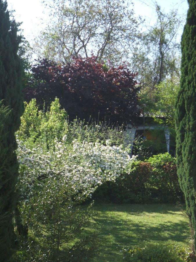 Hotel La Rose Trémière Wintzenheim-Kochersberg Esterno foto